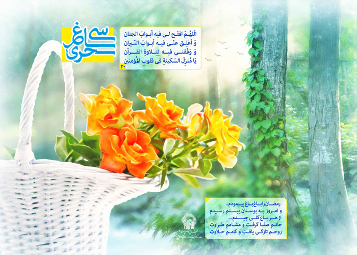 ضیاءالصالحین