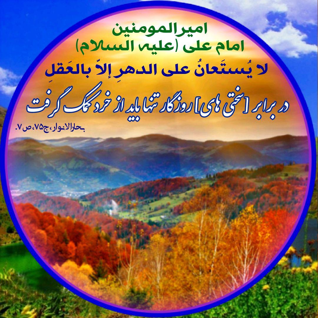 ضیاءالصالحین