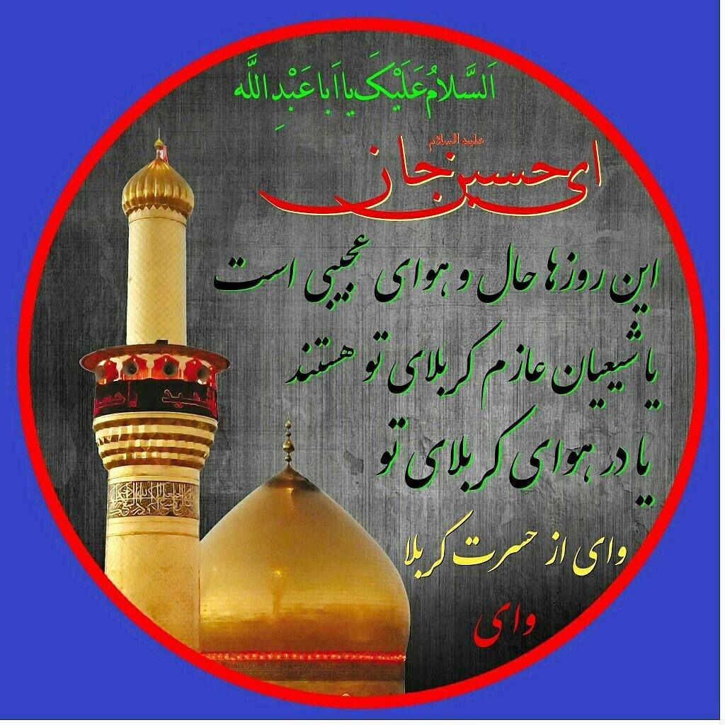 ضیاءالصالحین