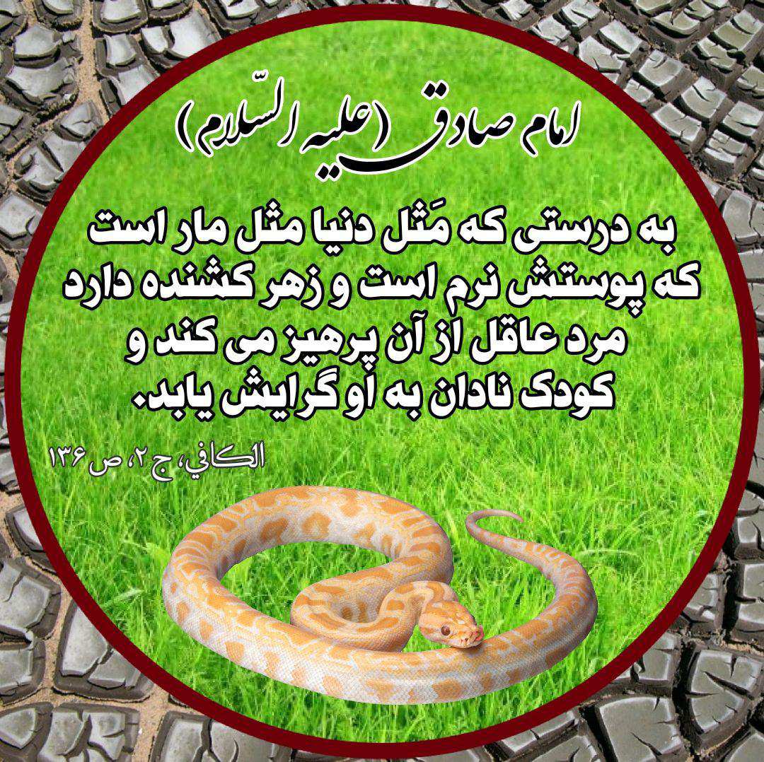 ضیاءالصالحین