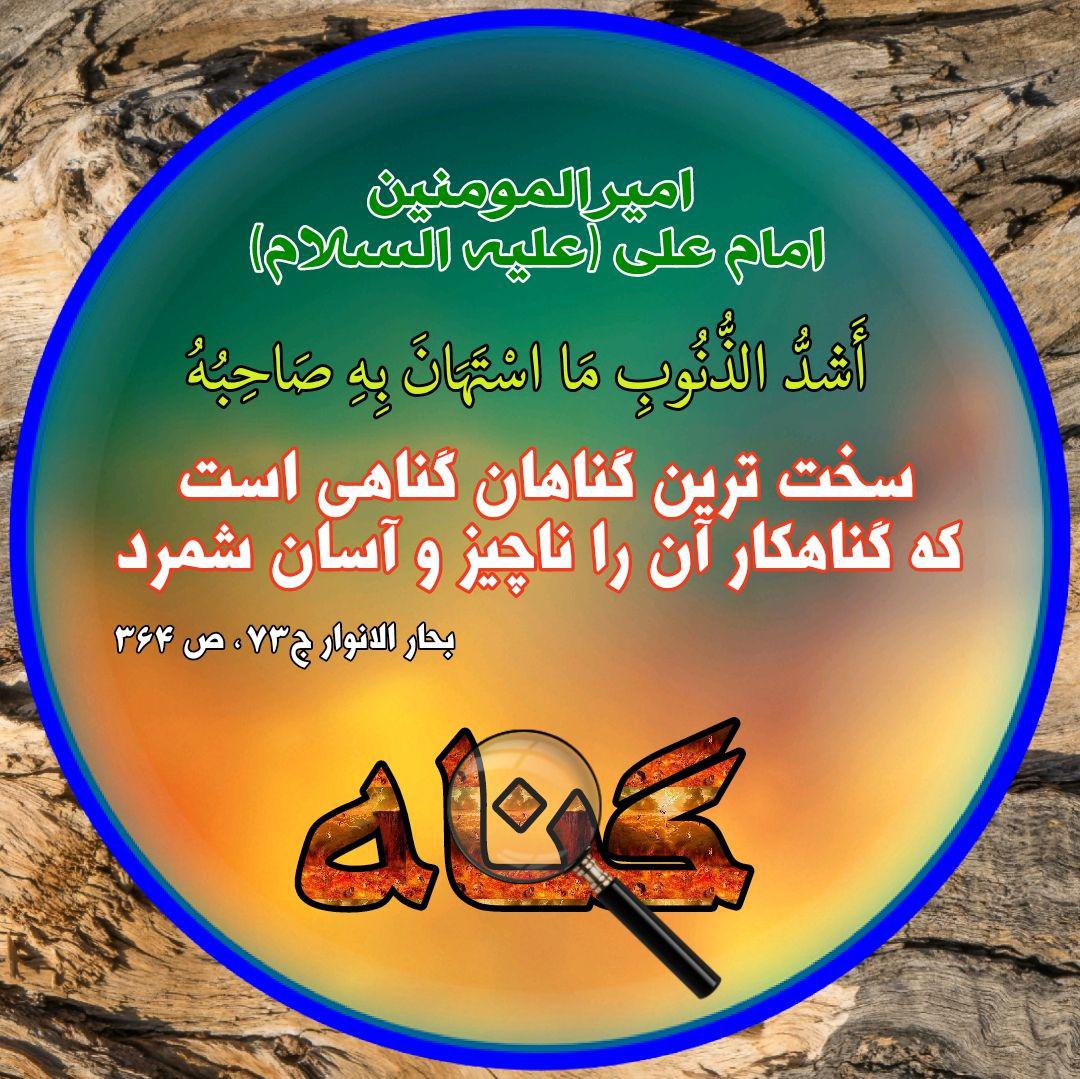 ضیاءالصالحین