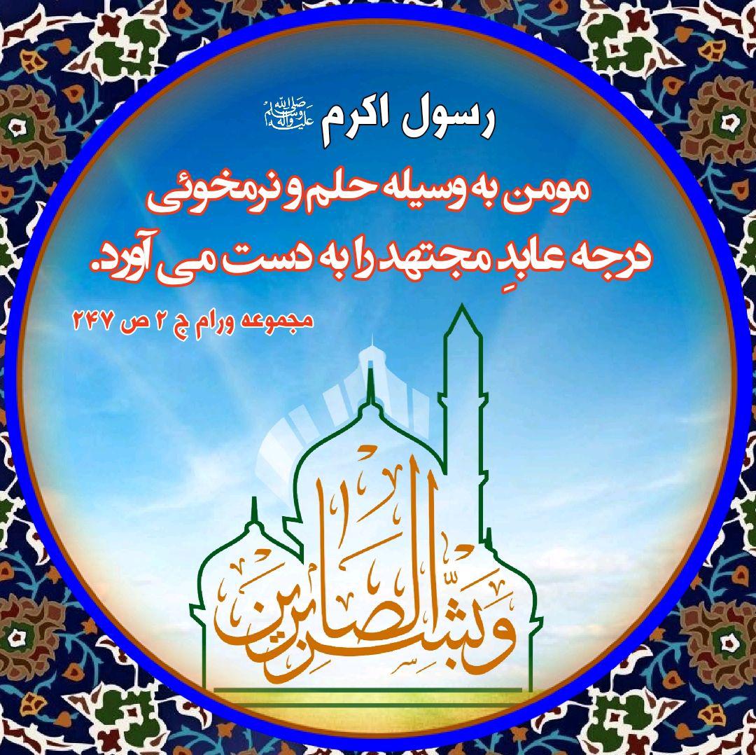 ضیاءالصالحین