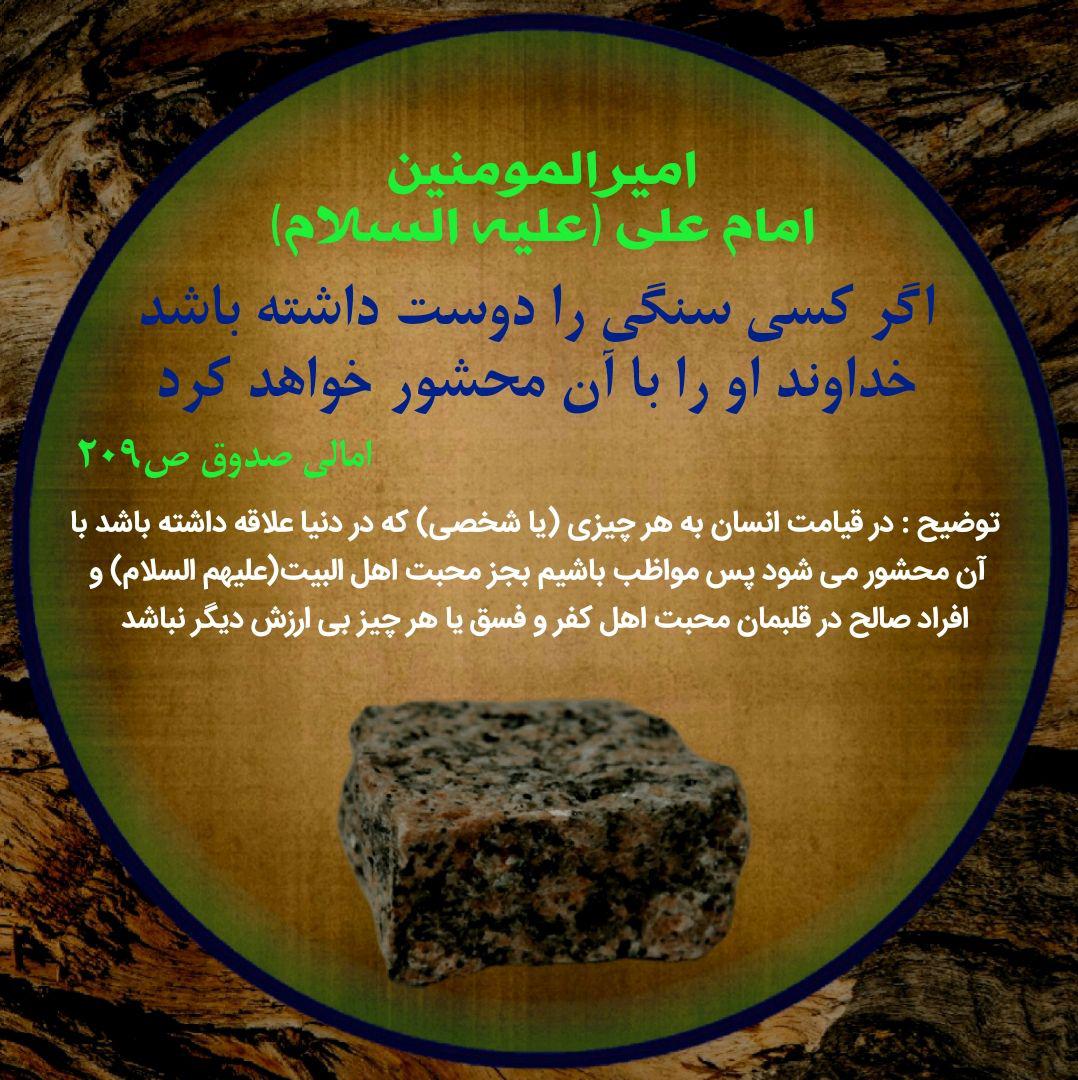 ضیاءالصالحین