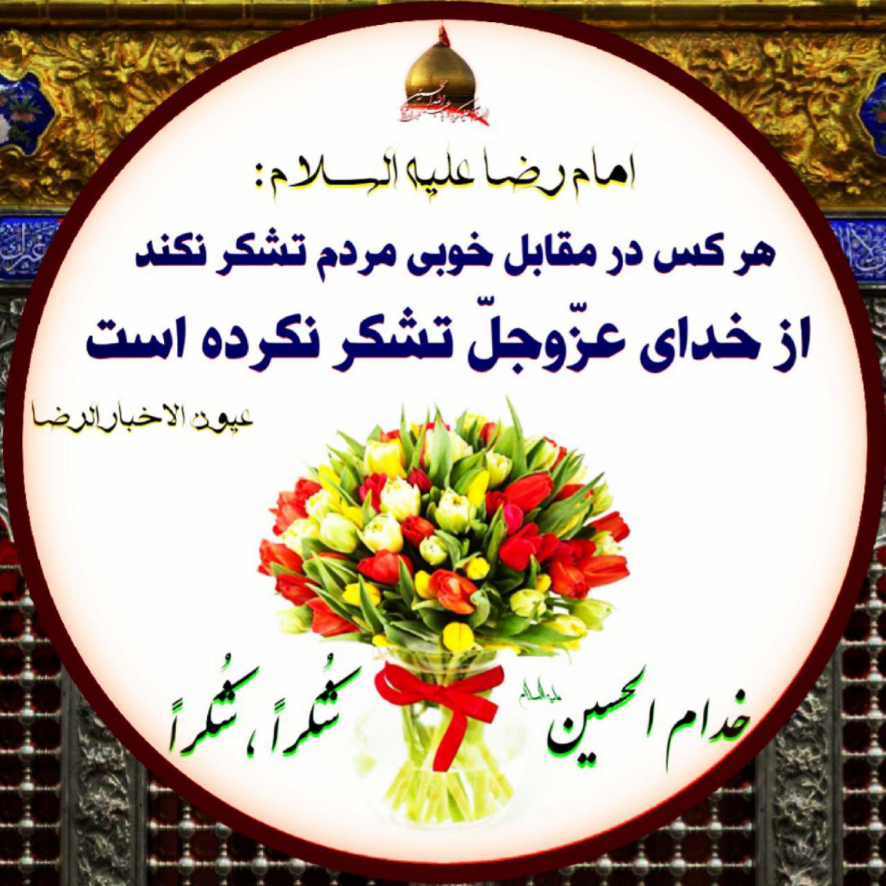 ضیاءالصالحین