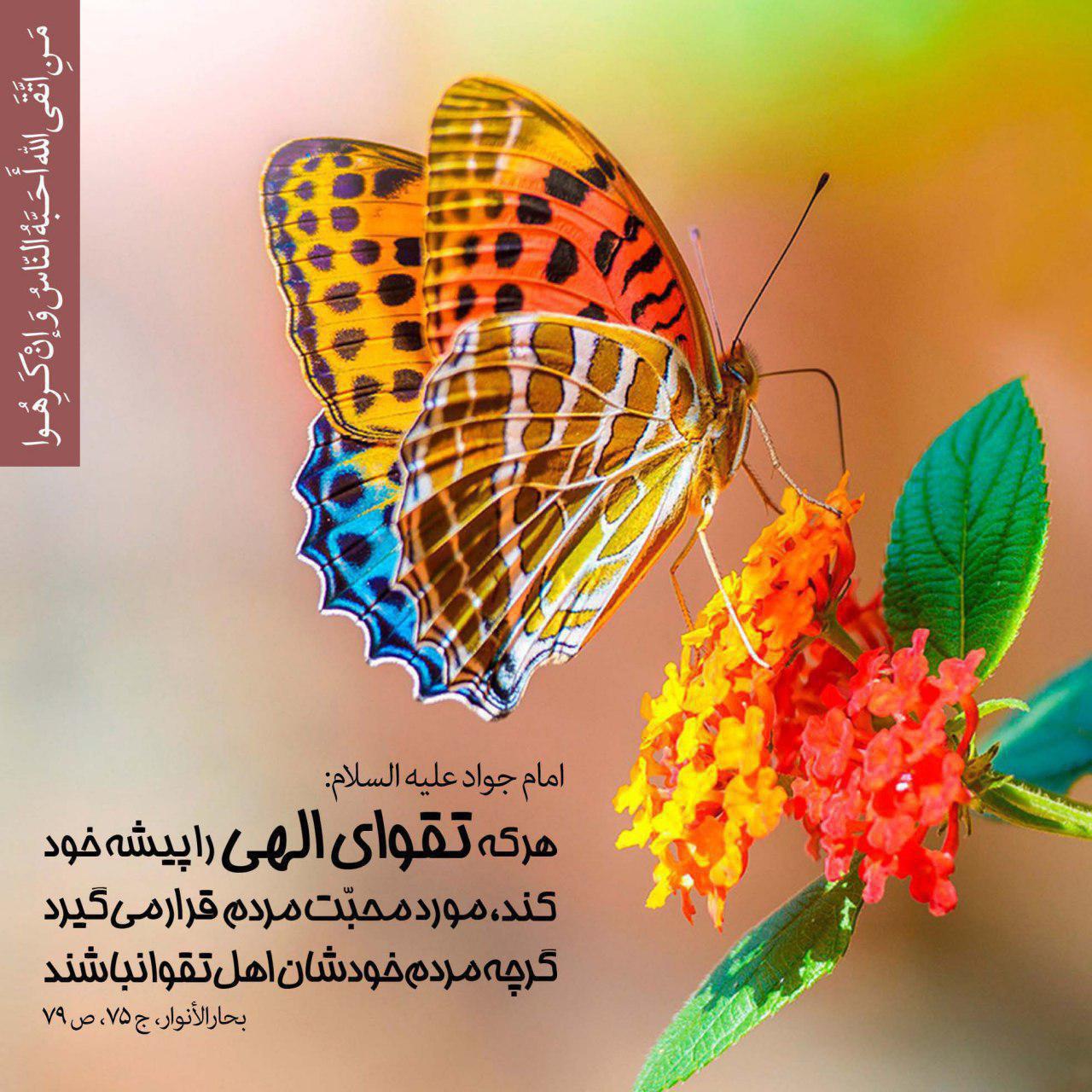 تقوای الهی