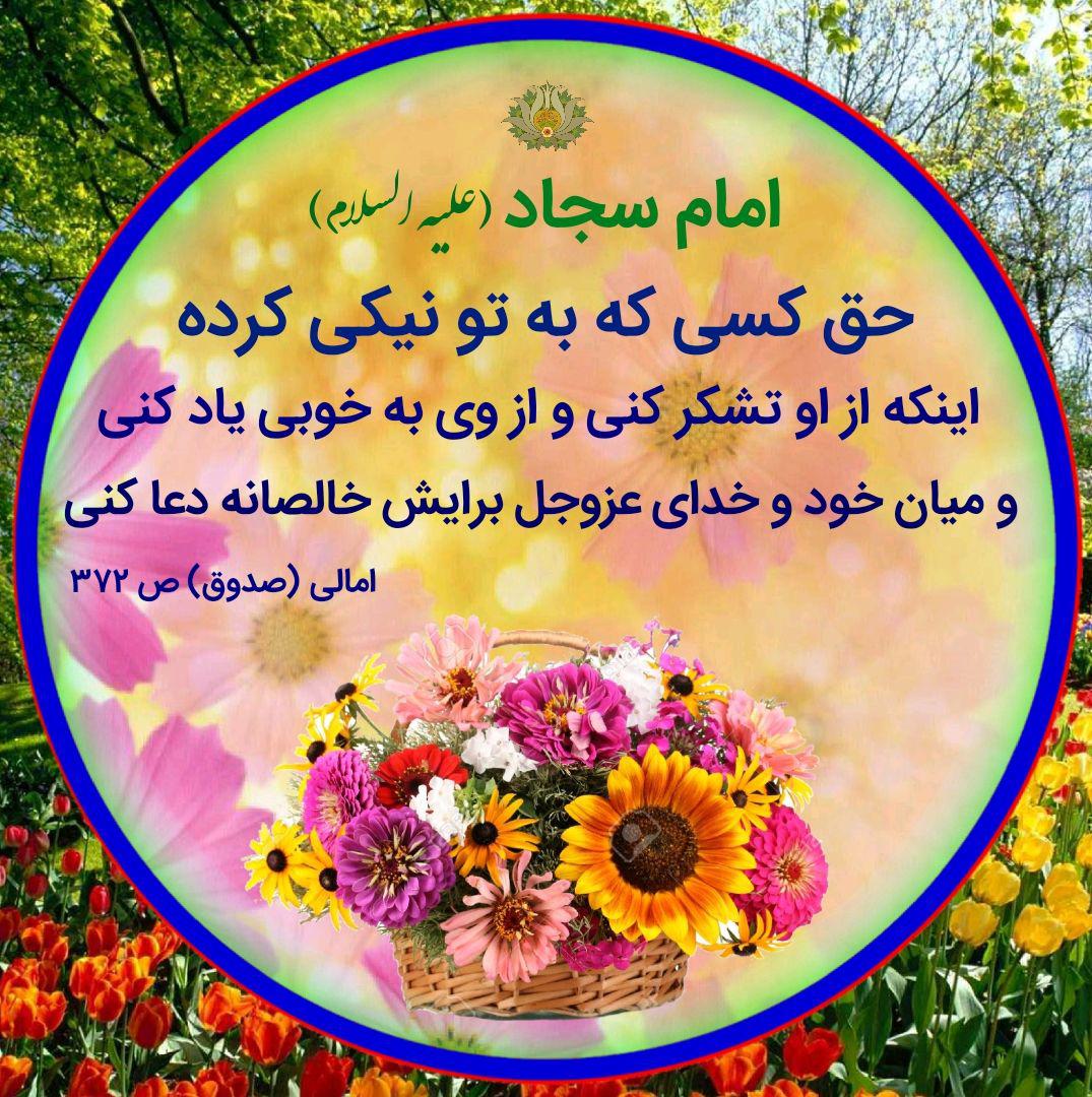 ضیاءالصالحین