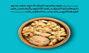 خواص خوردن گردو در تابستان و زمستان