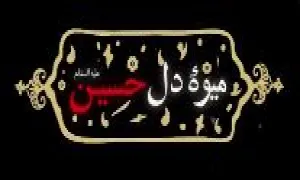 ذکر مصیبت میوه دل حسین - استاد صفایی حائری