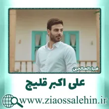 استوری مهدوی| خسته ام از درد دوری - علی اکبر قلیچ