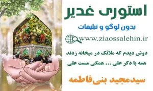 استوری عید غدیر | دوش دیدم که ملائک در میخانه زدند...