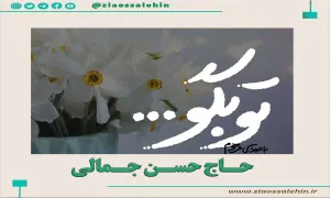 نماهنگ مهدوی / «تو بگو» با حاج حسن جمالی (کلیپ، صوت، متن)