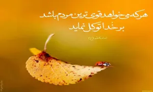 حدیث گرافی | توکل بر خدا