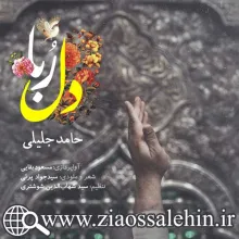 آهنگ دلربا با صدای حامد جلیلی