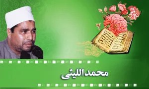 استاد محمد اللیثی