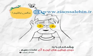 مجموعه ارتباط موفق 3 - مگس نباشیم/ استاد شجاعی