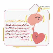 مباحث «انسان شناسی» - استاد شجاعی (جلسه 114) / عوامل قساوت و لطافت قلب