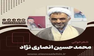 محمد حسین انصاری نژاد