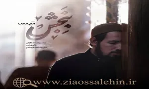 آهنگ ببخش با صدای میم محب - شهادت امام جواد علیه السلام