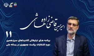 امیرحسین قاضی زاده هاشمی