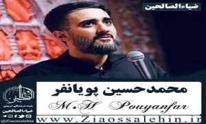 استوری کربلا | «یارالی» - محمد حسین پویانفر