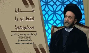 خدایا فقط تو را میخواهم! , آیت الله سیدحسن عاملی