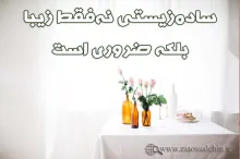 ساده زیستی , لاکچری , تجمل گرایی , پرونده تجمل گرایی