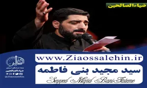 مناجات «ربنا الهی العفو» - سید مجید بنی فاطمه