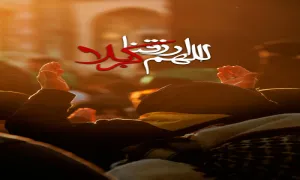 استوری اربعین| روحم راهیه و پر میگیره دل من (کلیپ،متن)