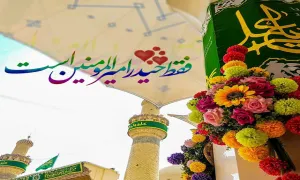 استوری ولادت امام علی علیه السلام / «عشق من ایوان نجف»