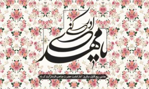 استوری میلاد امام مهدی / طاووس جنت اومده