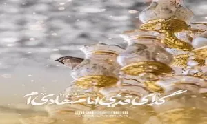 استوری گدای قدیمی امام هادی ام