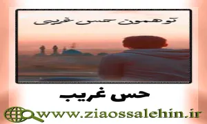 استوری اینستاگرام همدلی برای ظهور / حس غریب