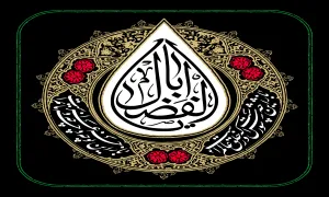 استوری روز تاسوعا | یه قلب مبتلا - محمود کریمی