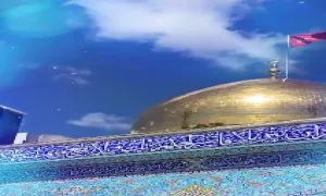 استوری ولادت حضرت زینب سلام الله علیها - مجنون زینب