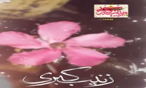 استوری شب میلاد زینب