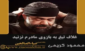 روضه غلاف تیغ به بازوی مادرم نزنید / محمود کریمی - فاطمیه ۱۴۰۰