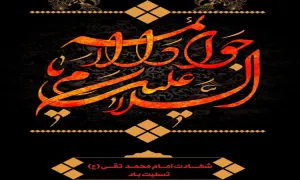 نماهنگ «کبوتر کاظمین» | شهادت امام جواد علیه السلام (کلیپ، صوت، متن)