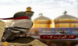 صوت| روضه شهادت امام موسی بن جعفر علیه السلام