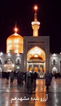 نماهنگ «امام رضا خیلی دوست دارم»