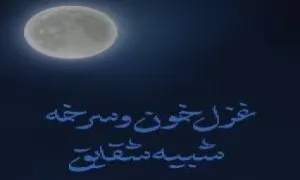 استوری شهادت امام صادق علیه السلام - شبیه شقایق