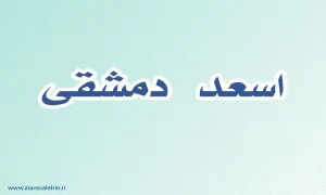 اسعد دمشقی,گنجینه تصاویر ضیاءالصالحین