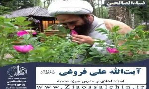 آیت الله حاج شیخ علی فروغی دام ظله