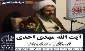 منتظران واقعی امام زمان | آیت الله احدی (صـوتــی)