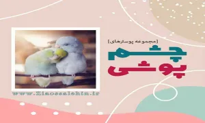 مجموعه پوستر "چشم پوشی" در زندگی