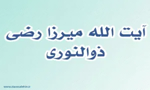 آیت الله رضی ذوالنوری,گنجینه تصاویر ضیاءالصالحین