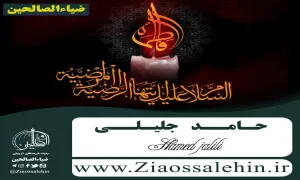 شهادت حضرت فاطمه زهرا سلام الله علیها - حامد جلیلی - ایام فاطمیه سلام الله علیها