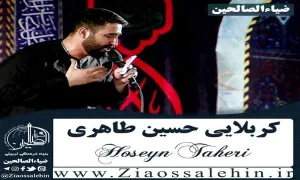 نماهنگ «پناهم بده» از حسین طاهری (کلیپ، صوت، متن) / ویژه شهادت امام رضا