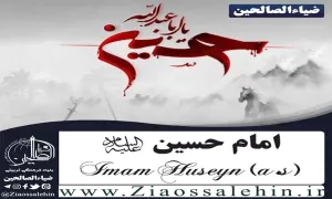 استوری/ «محبوبی حسین» با نوای کربلایی محمد فصولی