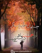 مباحث شُکر- استاد شجاعی / جلسه 1