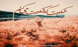 مباحث «شُکر» - استاد محمد شجاعی | جلسه 26